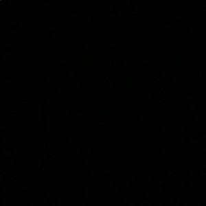 Meet your Posher, Dani